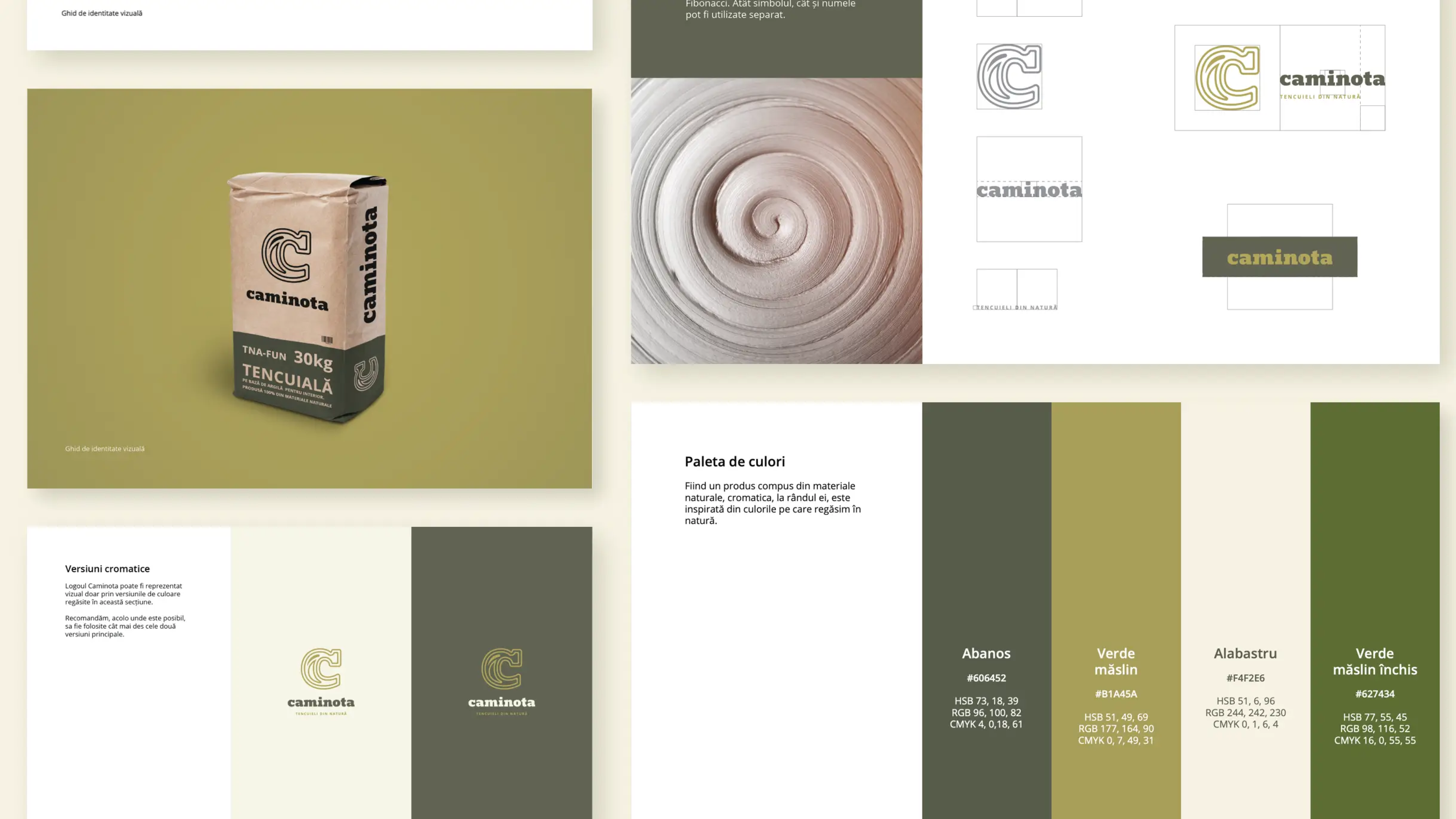 web development services for Caminota